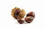 Brown chestnuts isolated on the white background