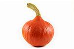 Little single orange pumpkin isolated on a white background