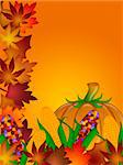Pumpkin Ornamental Corn Cob and Fall Leaves Illustration
