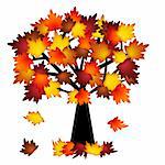 Colorful Fall Leaves on Tree Illustration in Autumn