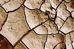 Closeup of dried and cracked earth