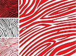Red Zebra background pattern - perfect texture for your unique design!