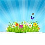 Green Grass With Flowers And Paper, Vector Illustration