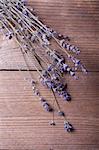 Bunch of lavender flowers on wooden background