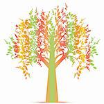 Colorful art tree isolated on white background