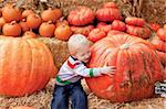 adorable toddler is hugging a huge pumpkin
