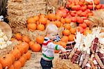 caucasian toddler choosing corn at the pumpkin patch