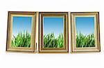 Green grass in the picture frames