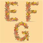 E,F,G Vector colorful font. Autumn theme, leaves and berries.