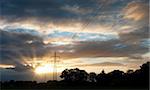 electricity pylons against a nice yellow orange sunset