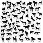 Big vector collection of different horses silhouettes