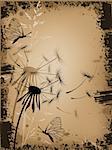 grunge floral  background with dandelion and butterfly