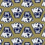 retro style of lion face background pattern
