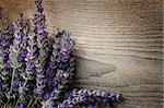 Fresh lavender over wooden background