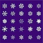 Set of different snowflakes crystal decoration vector
