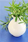 fresh rosemary green sprigs in white vase over blue background