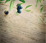 Summer olives nature background with fresh olive branch and wooden background