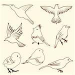 Set of differnet sketch bird. Vector illustration for design use.