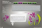 web site design template for company with frame, glossy buttons and origami template