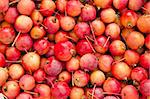 Ripe apples colorful bunch. Fruit background.