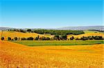 Tuscany Landscape With Many Hay Bales In The Morning