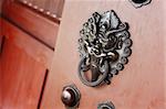 lion door lock