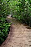 Wooden boardwalk through forest Krabee, Thailand .