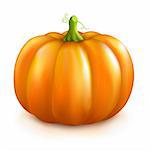 Pumpkin, Isolated On White Background, Vector Illustration