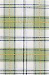 Green checked dish towel background