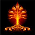 Fire flower. Illustration isolated over black background