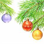 Christmas ornaments on a branch of a pine. Isolated over white