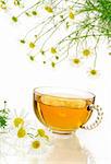 Cup of chamomile tea with fresh chamomilla flowers over white background