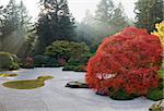 Sun Beams at Japanese Flat Sand Zen Garden on Fall Afternoon