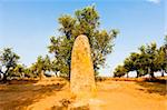 menhir in Almendres near Evora, Alentejo, Portugal