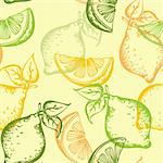 vector citrus seamless pattern on a green background