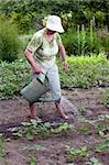 Happy senior woman working in her garden