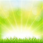Green Background With Green Grass And Sunburst, Vector Illustration