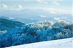 First winter snow and autumn mountain beech forest.