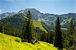 Home in Bavarian Alps, Germany