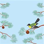 Background, bird titmouse sitting on pine branch against blue sky. Vector