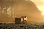 Truck with trailer at sunrise