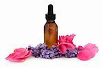 Rose flower petals and lavender herb flowers with aromatherapy brown glass dropper bottle isolated over white background. Lavandula and rosa rugosa.