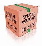 special delivery important shipment package sending express shipping parcel