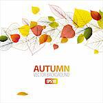 Vector Autumn abstract floral background with place for your text
