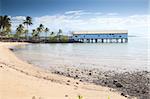 port douglas tropical queensland australia boat house with palm trees sand on beach pole house