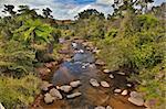 creek and fern trees in tropical tablelands Queensland Australia unspoild pristine and pure wilderness beautiful wild nature