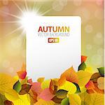 Vector autumn background with white card and sun in the background