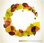 Autumn abstract floral background - circle from colorful leafs with place for your text