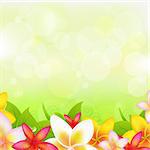 Natural Background With Garland From Plumeria, Vector Illustration