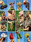 farmer hands with fruits seeds and tools